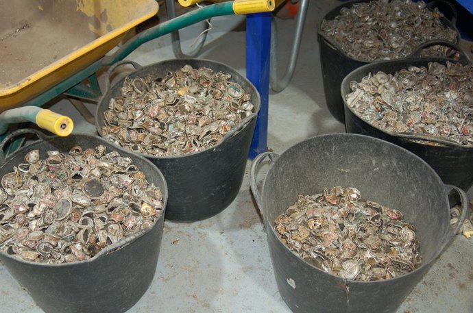 La Mancomunidad de la Costa del Sol Occidental, "pionera" en el reciclaje de cápsulas de café