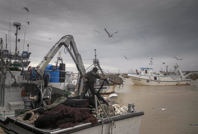 Archivo - Llegada de un barco pesquero a  la lonja de la Cofradía de Pescadores de Sanlúcar de Barrameda.