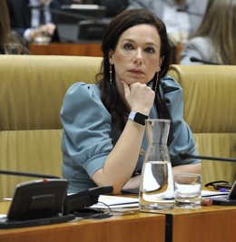 La consejera de Salud, Sara García Espada, en el pleno de la Asamblea