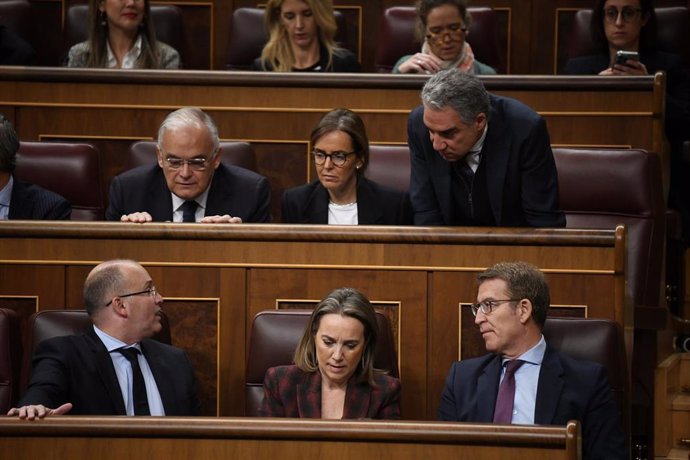 El coordinador general del PP, Elías Bendodo (1d), conversa con el portavoz del Grupo Parlamentario Popular en el Congreso, Miguel Tellado (1i), durante una sesión plenaria, en el Congreso de los Diputados, a 29 de febrero de 2024, en Madrid (España). El 