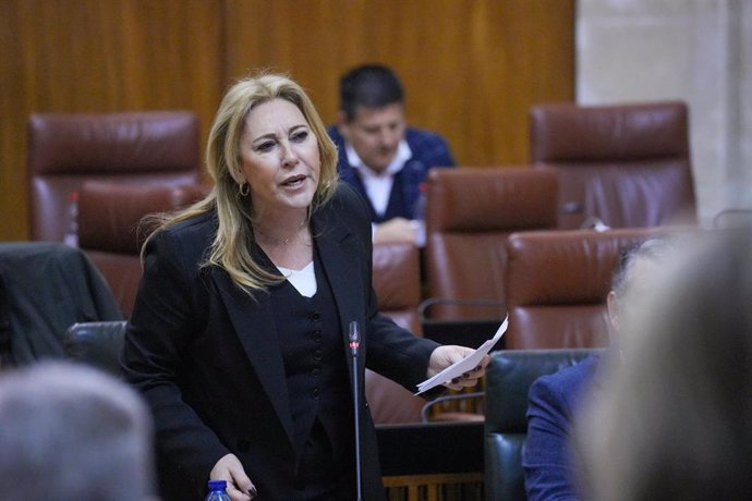 La consejera de Economía, Carolina España, en una imagen de archivo en el Pleno del Parlamento. 