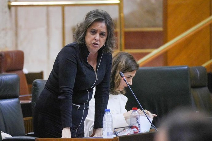 La consejera de Salud y Consumo, Catalina García, en el Pleno del Parlamento andaluz.