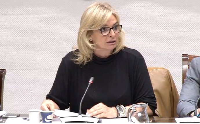 La consejera de Sanidad del Gobierno de Canarias, Esther Monzón