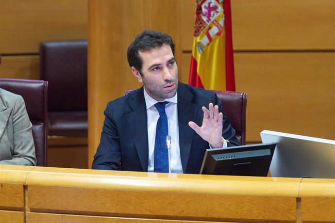 El ministro de Economía, Comercio y Empresa, Carlos Cuerpo, comparece durante una comisión, en el Congreso de los Diputados, a 21 de marzo de 2024, en Madrid (España). 
