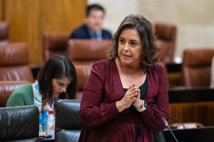La consejera de Salud y Consumo, Catalina García, en el Pleno del Parlamento del 21 de marzo de 2024.