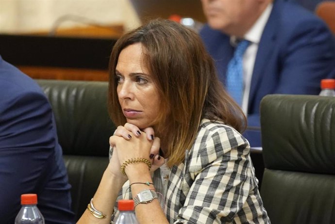Archivo - La consejera de Fomento, Ordenación del Territorio y Vivienda, Rocío Díaz, en el Parlamento andaluz