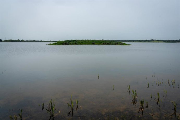Charca de la Dehesa de Abajo en el espacio NaturaldeDoñana.