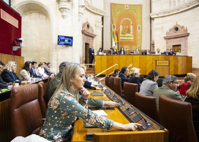 Votación en el Pleno del Parlamento andaluz. (Foto de archivo).