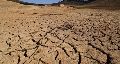 Medio Ambiente