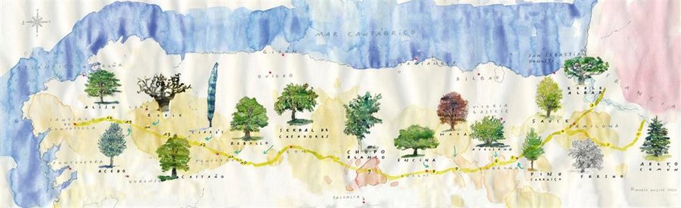 Mapa de árboles del Camino