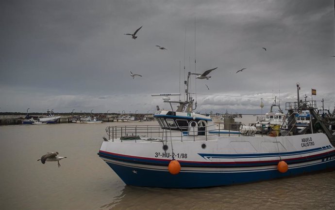 Archivo - Salida de un barco pesquero de la lonja de la Cofradía de Pescadores de Sanlúcar de Barrameda (Cádiz). 