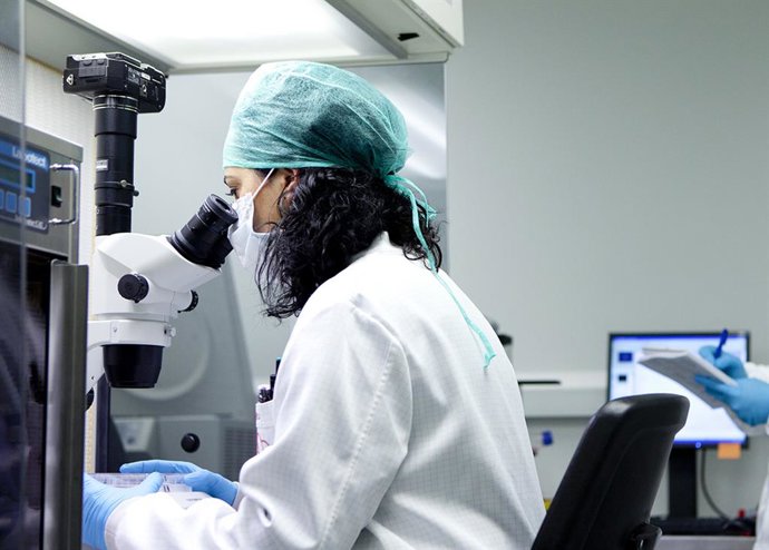 Archivo - Investigadora del sistema público sanitario andaluz.