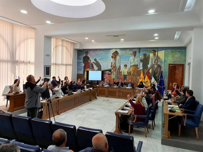 Pleno de Rincón de la Victoria