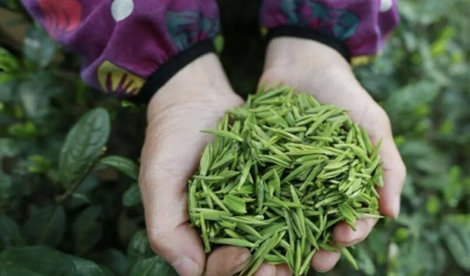 Comunicados Internacional