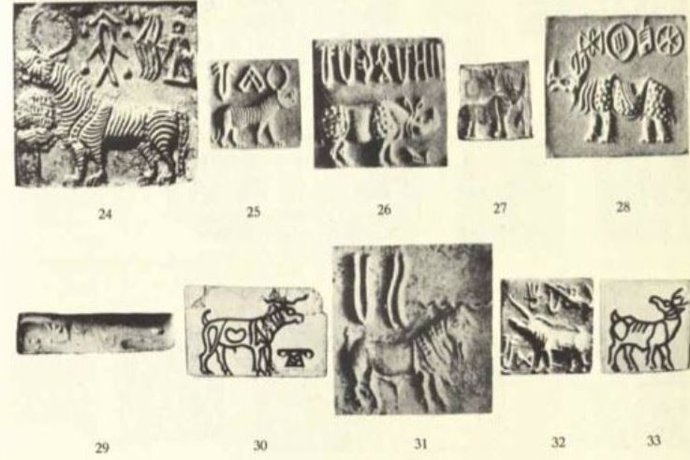 Una serie de sellos del Indo de Iravatham Mahadevan, un erudito y autor que ha estudiado la escritura del Indo durante décadas.
