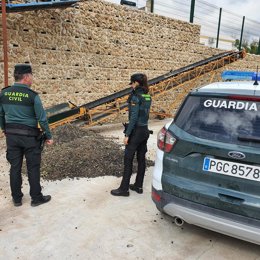 Guardia Civil custodia aceitunas robadas