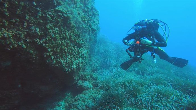 Imagen de archivo de un buzo.