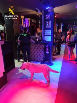 La Guardia Civil y la Policía Local de Mogán realizan un operativo policial conjunto en zonas de ocio de la localidad de Mogán
