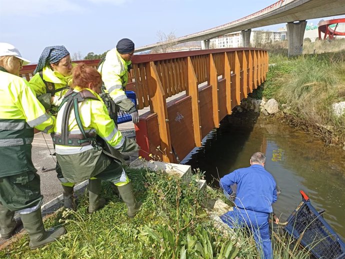 Camargo inicia los trabajos de recuperación ambiental del entorno del Arroyo Bolado