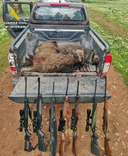 Sorprendidos catorce furtivos tras abatir tres jabalíes en una finca de Puebla de Alcocer (Badajoz)