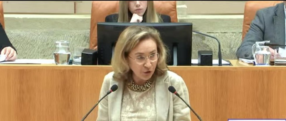 La consejera de Servicios Sociales, María Martín