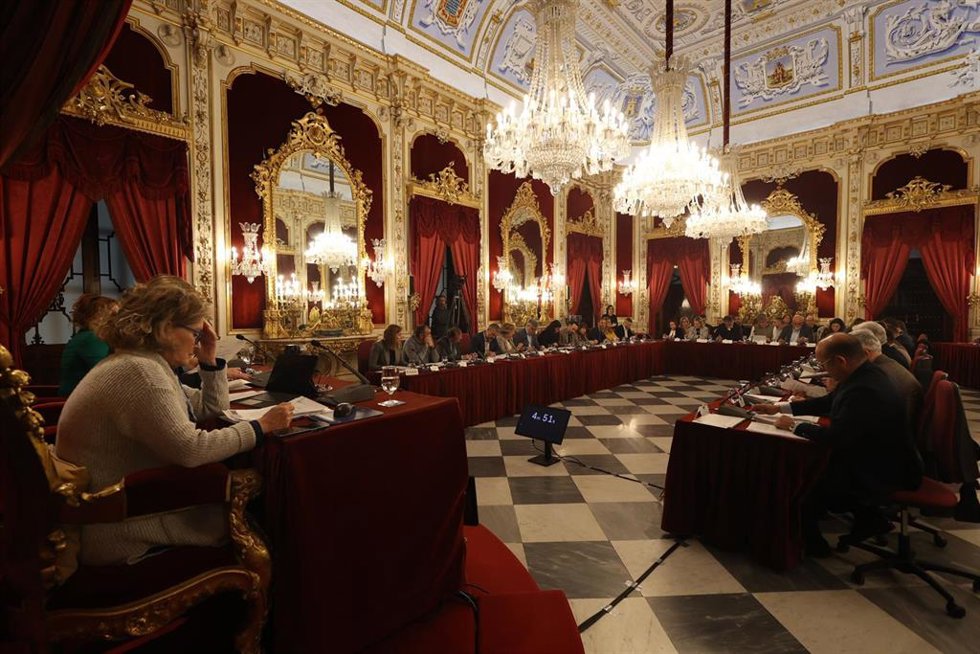 Pleno de la Diputación de Cádiz.