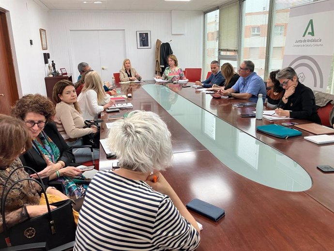 Integrantes del Comité Territorial contra la Violencia de Género de la provincia de Cádiz en una segunda reunión.