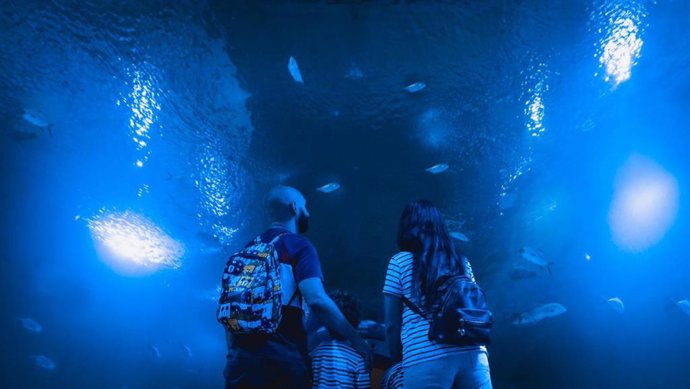 Familia en el túnel de tiburones del Oceanogràfic
