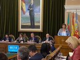 Foto: Castelló aprueba una enmienda a una moción de Compromís con la que condena la violencia de minorías radicales