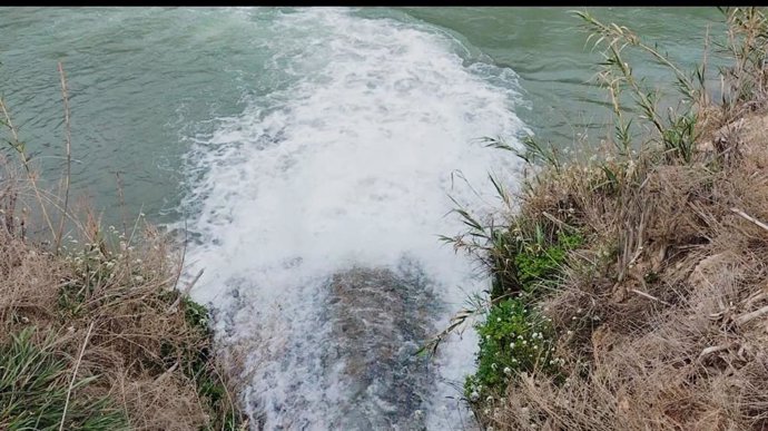Los pozos arrojan 650 litros por segundo al río Segura