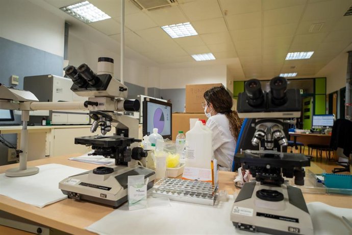Andalucía aumenta un 10% el número de proyectos de investigación biomédica evaluados en 2023 