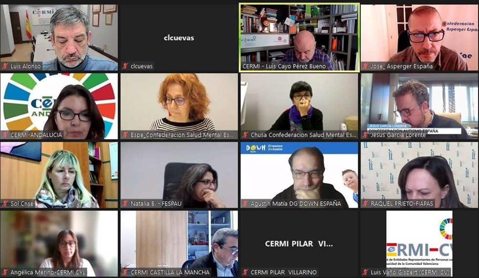 Asistentes a la reunión de la Red de gerentes del Cermi.