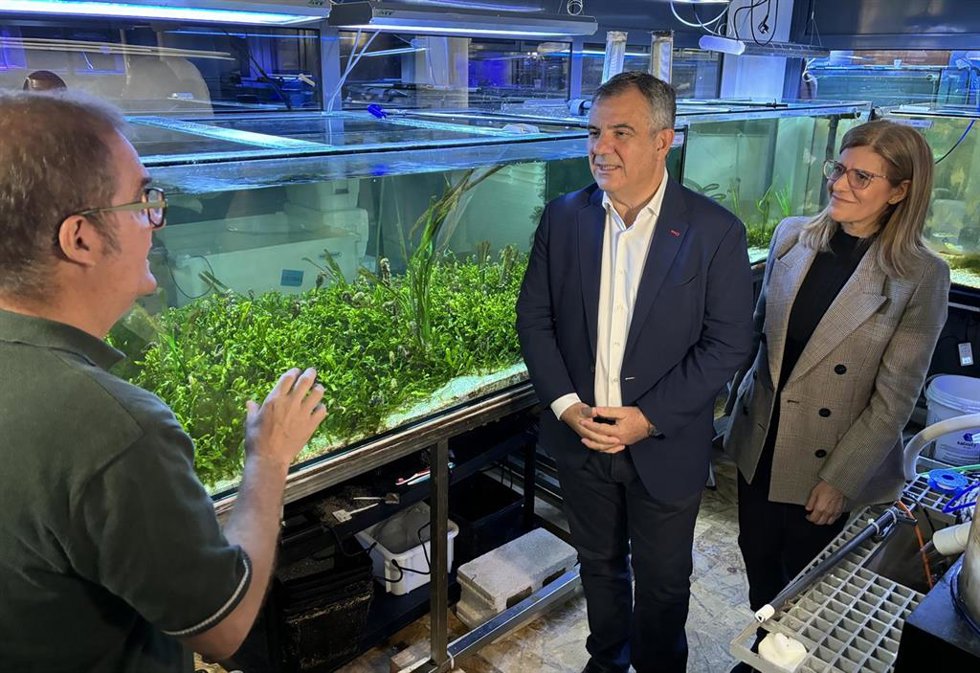 El consejero de Medio Ambiente, Universidades, Investigación y Mar Menor, Juan María Vázquez, visita junto a la vicerrectora de Investigación, María Senena Corbalán, el Banco de Especies del Mar Menor.