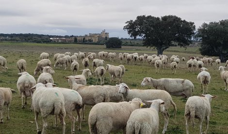 Comunicados Sociedad