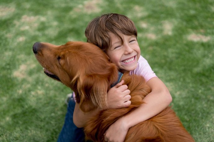 Archivo - Niño y perro, mascota.