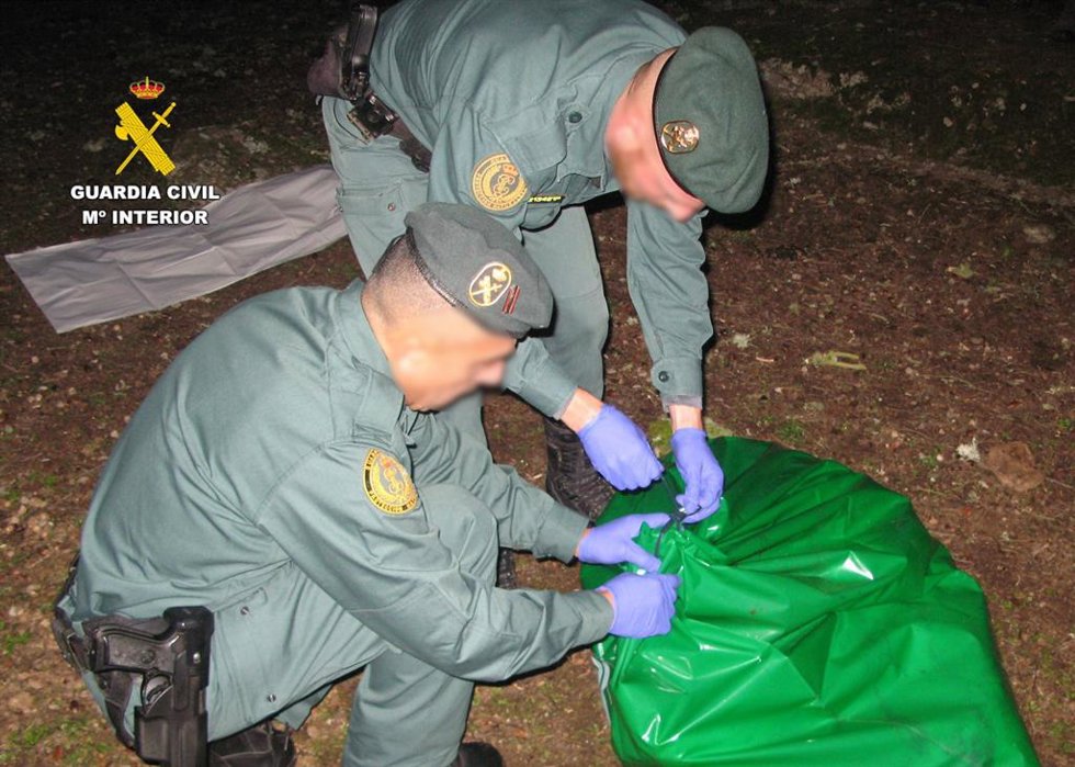 Los agentes recogen el cuerpo del mastín muerto.