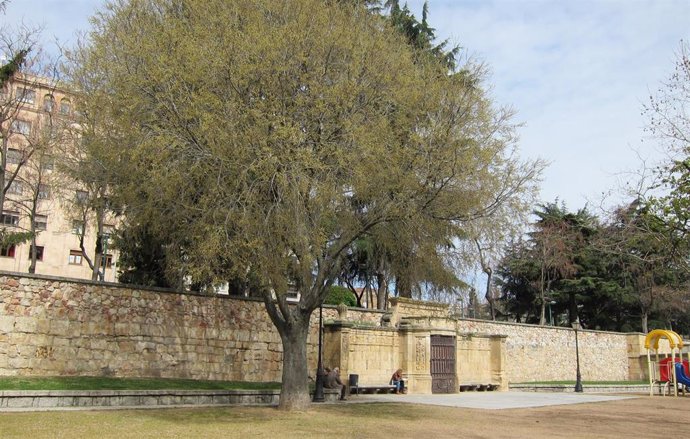 Archivo - Imagen de archivo del parque de San Francisco de Salamanca.