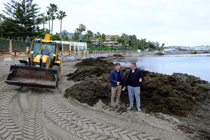 El concejal de Marbella, Diego López, informa sobre la retirada de algas invasoras