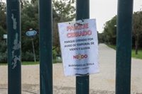 Cerrados por prevención los parques públicos de Sevilla ante el pronóstico de fuertes rachas de viento