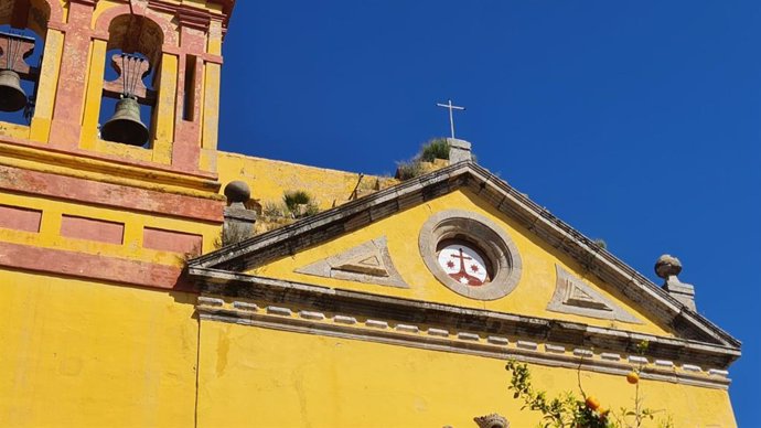 Acumulación de musgos y plantas en la fachada y cornisas del convenio de los Carmelitas Descalzos que se eliminará con la actuación prevista.
