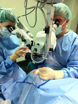 Trasplante de córnea