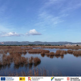 Imagen de la marisma de Viladecans (Barcelona)