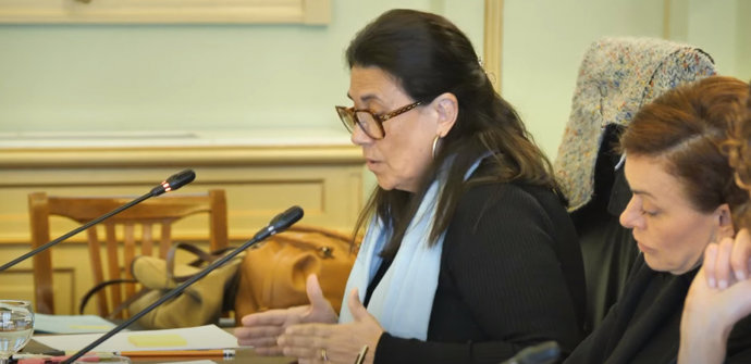 La directora de la Oficina Balear de la Infancia y la Adolescencia (OBIA), María del Mar Pulido, en una comparecencia en el Parlament