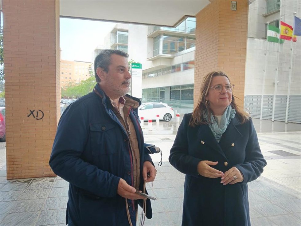 La secretaria de Organización del PSOE de Huelva y diputada provincial, Rosa Tirador y el adjunto a la Secretaría de Política Municipal del PSOE de Huelva, Jesús Ferrera, en rueda de prensa.