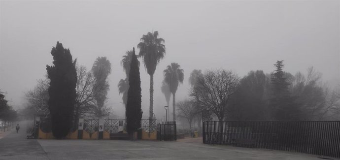 Archivo - Parque de Juan Pablo II, en el Buelvar, cubierto por la niebla.