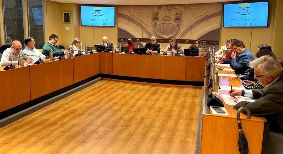 Comparecencia de la consejera de Agricultura, Noemí Manzanos, para analizar la situación de la agricultura y ganadería en La Rioja