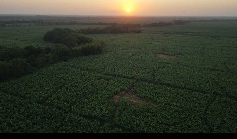 Comunicados Sociedad