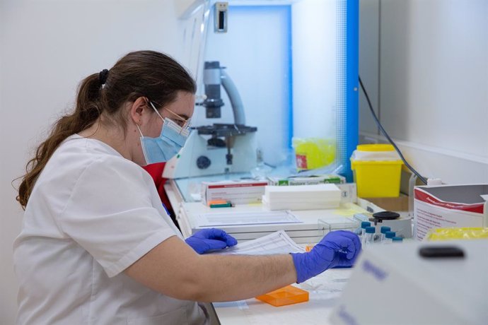 Archivo - Ribera Lab incorpora un análisis de sangre para adelantar el diagnóstico de cáncer colorrectal