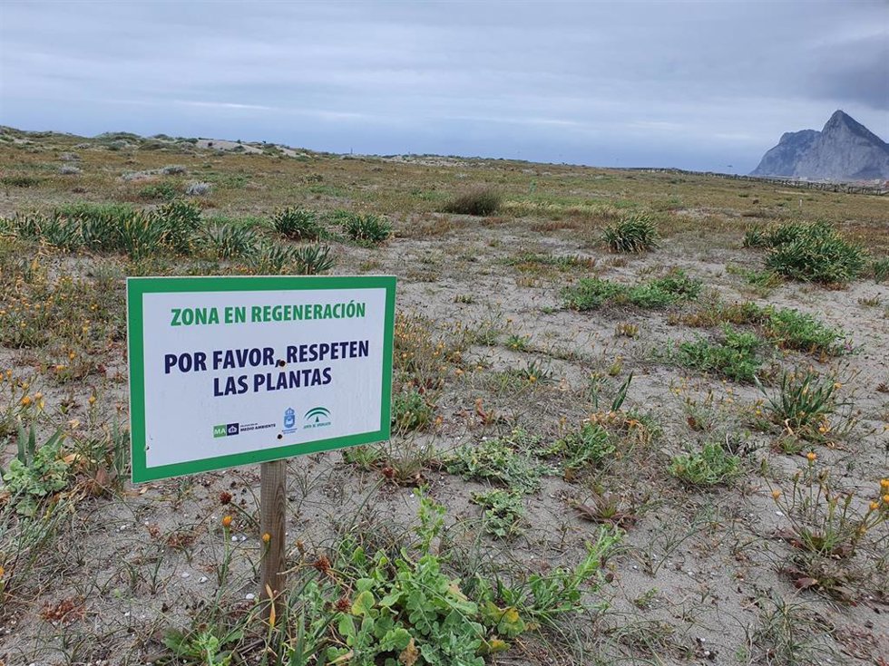 Dunas de La Línea