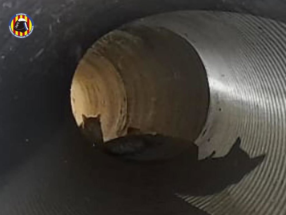 Bomberos recatas a un gato de una tubería